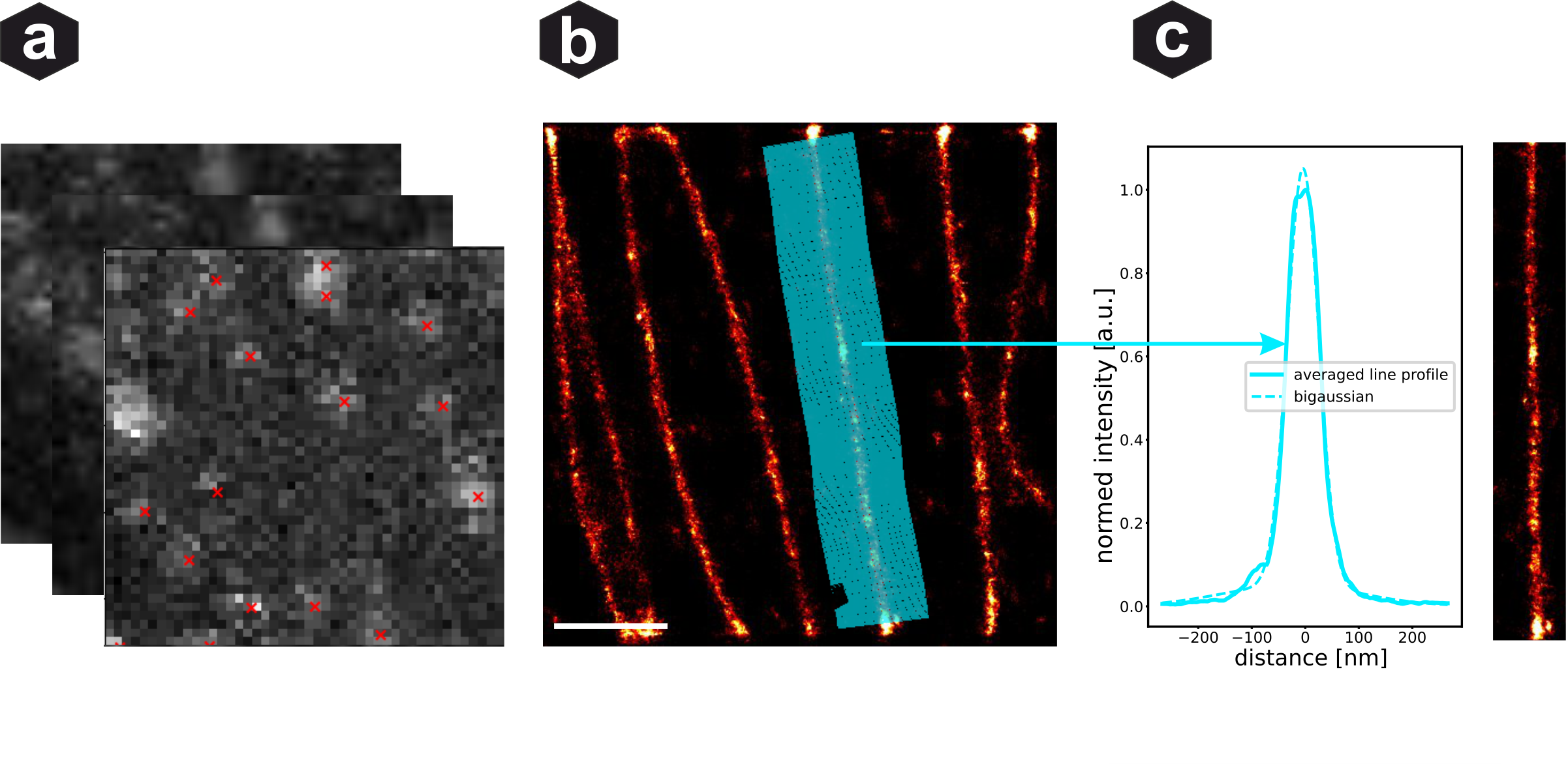 ReCSAI reconstruction evaluation results