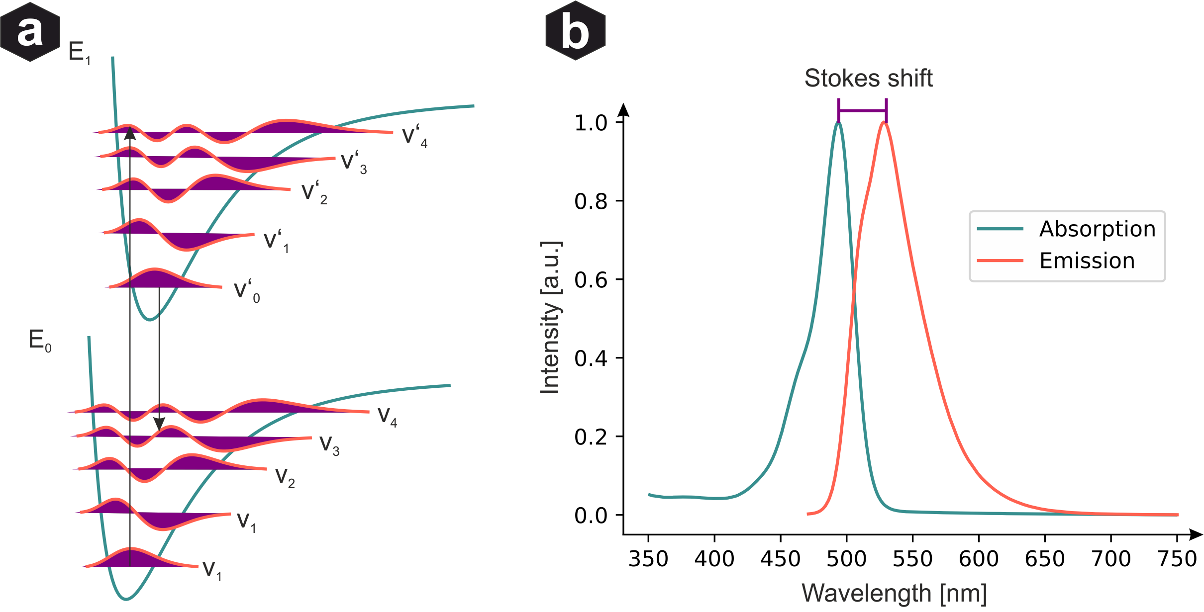 Frank-Condon principle energy transitions